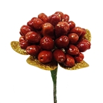 Oleaster fruit- Haft Sin Decoration