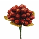 Oleaster fruit- Haft Sin Decoration