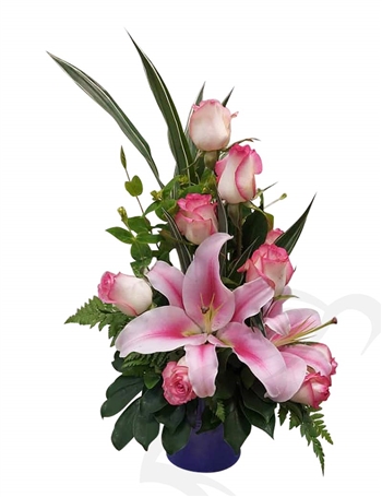 FD3868