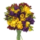 Freesia Bounches- 3 Different colors