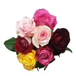 Roses - 7 Stems