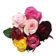 Roses - 7 Stems